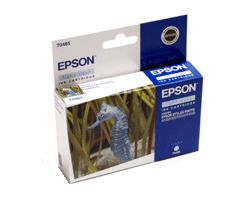 EPSON  -  Stylus R200/300/RX500/600 