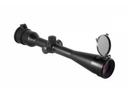 ���������� ������ ����� (����) �10�42F FFT 